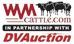 WMCattle.com in partnership with DVAuction